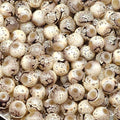 Old Lace Premium Painted Glossy Glass Beads